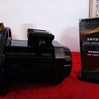上海軟啟動制動電機(jī)廠家