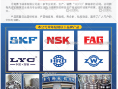 河南勇飛軸承有限公司已加入《起重匯采購(gòu)指南》！